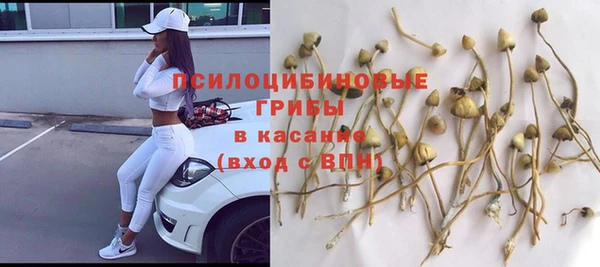 амф Алексеевка
