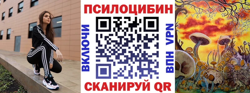 Псилоцибиновые грибы MAGIC MUSHROOMS  Купить где  Ковдор 